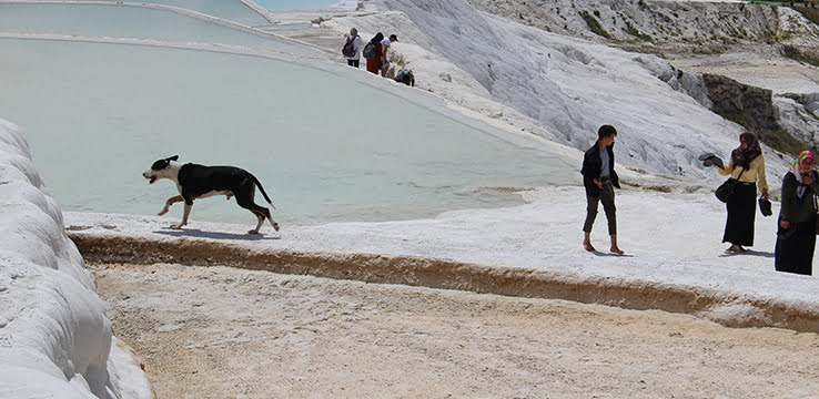 Pamukkale’yi bir haftada 2 bin kişi ziyaret etti