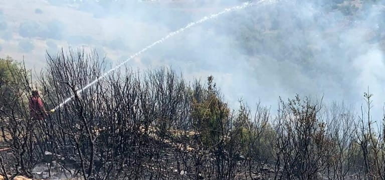 Denizli’de ormanlık alanda ki yangında 50 hektar zarar gördü