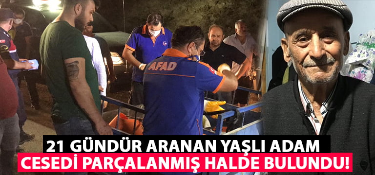 21 gündür aranan yaşlı adamın cesedi yabani hayvanlar tarafından parçalanmış olarak bulundu!