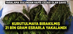 Yaralama suçundan hapis cezası olan şahıs 21 bin 300 gram esrarla yakalandı