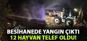 Besihane’de yangın çıktı.. 12 hayvan telef oldu!