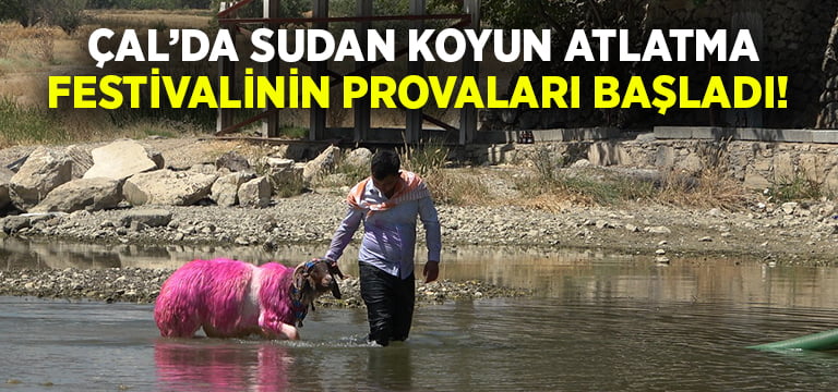 Çal’da koyunlar 847. kez Köprübaşından karşıya atlayacak!