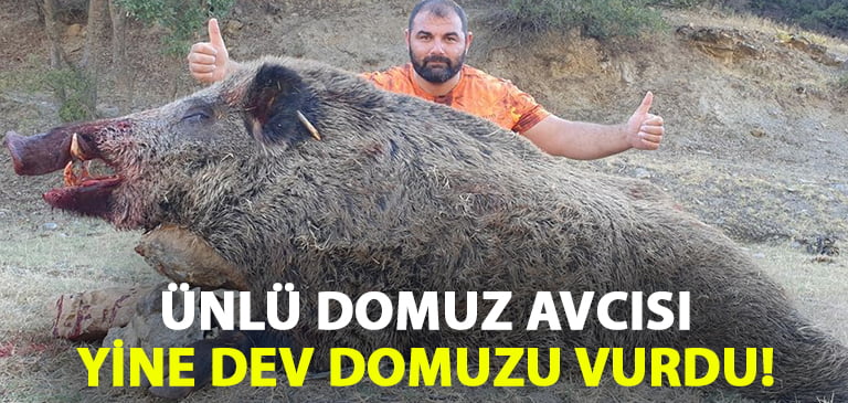 Denizlili domuz avcısı Selçuk Poslu tarlaları talan eden dev domuzu vurdu!