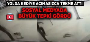 Denizli’de yolda kediye tekme atan şahıs sosyal medyada tepkiye neden oldu