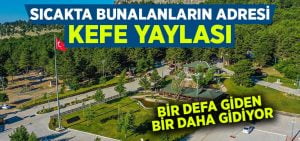 Sıcakta bunalanların adresi: Kefe Yaylası