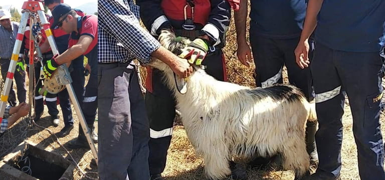 Kuyuya düşen keçiyi itfaiye ekipleri kurtardı