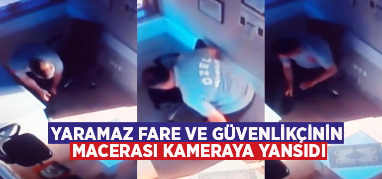 Yaramaz fare ve güvenlikçinin macerası kameraya yansıdı