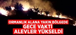 Ormanlık alana yakın bölgede alevler yükseldi