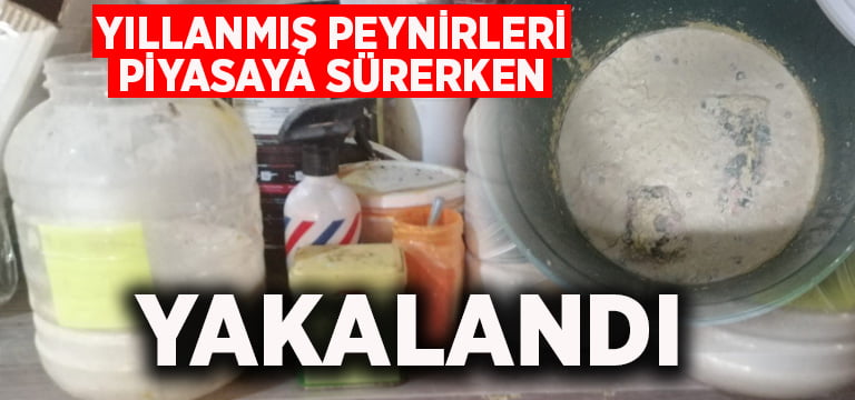 Yıllanmış peynirleri piyasaya sürerken yakalandı