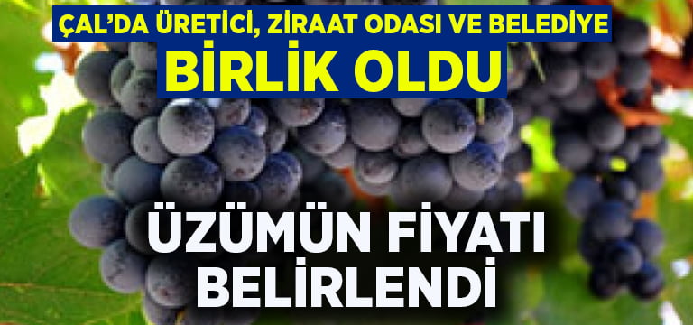 Çal’da üzüm fiyatları belirlendi