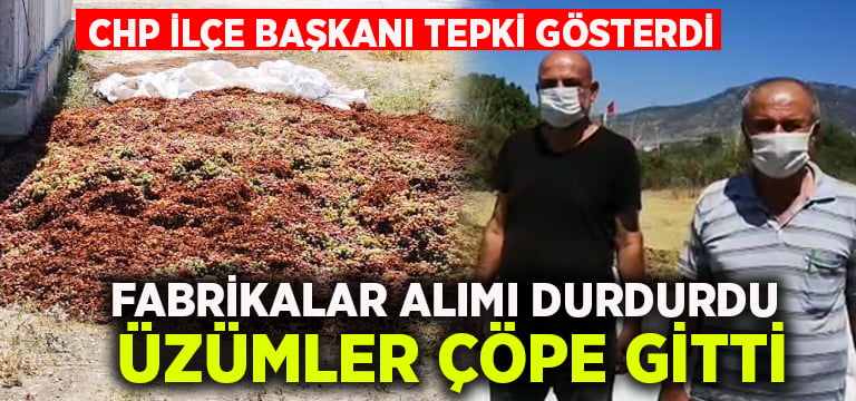 Fabrikalar alımı durdurdu, üzümler çöpe gitti