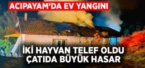 Acıpayam’da ev yangını.. İki hayvan telef oldu