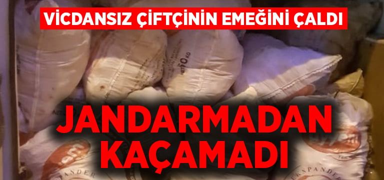 Çiftçinin biberleri ile ortadan kayboldu, JASAT’tan kaçamadı