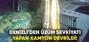 Denizli’de üzüm yüklü kamyon devrildi!