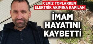 Ceviz toplarken elektrik akımına kapılan imam hayatını kaybetti