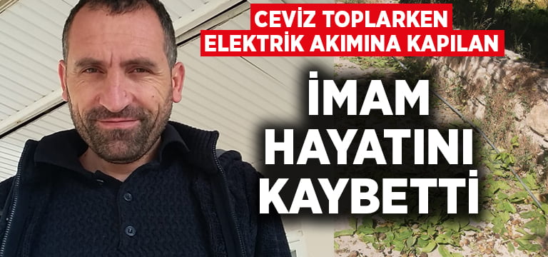 Ceviz toplarken elektrik akımına kapılan imam hayatını kaybetti