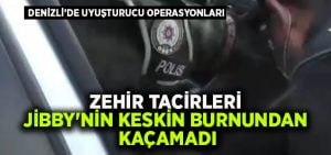 Zehir tacirleri Jibby’nin keskin burnundan kaçamadı