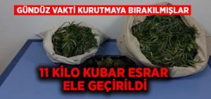 Gündüz vakti kurutulmaya bırakılmış esrar ele geçirildi