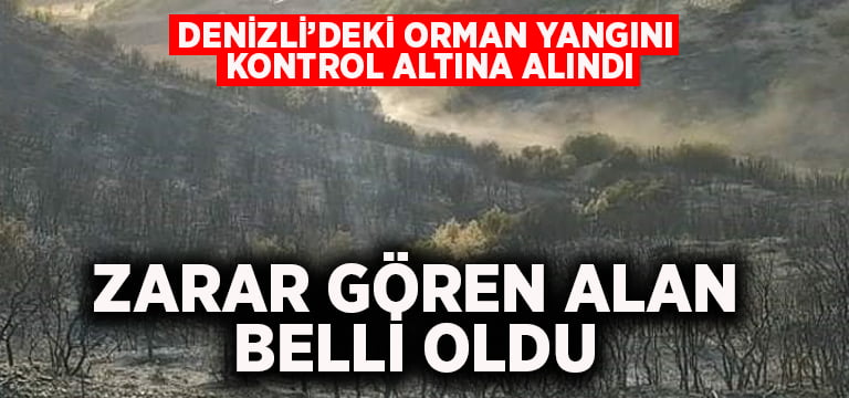 Denizli’deki orman yangını kontrol altına alındı