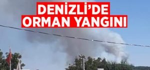 Çardak’ta orman yangını