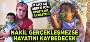 Ramazan bebeğe uygun karaciğer bulunmazsa hayatını kaybedecek, ailesi yardım bekliyor