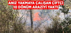 Anız yakmaya çalışan çiftçi, 10 dönüm araziyi yaktı