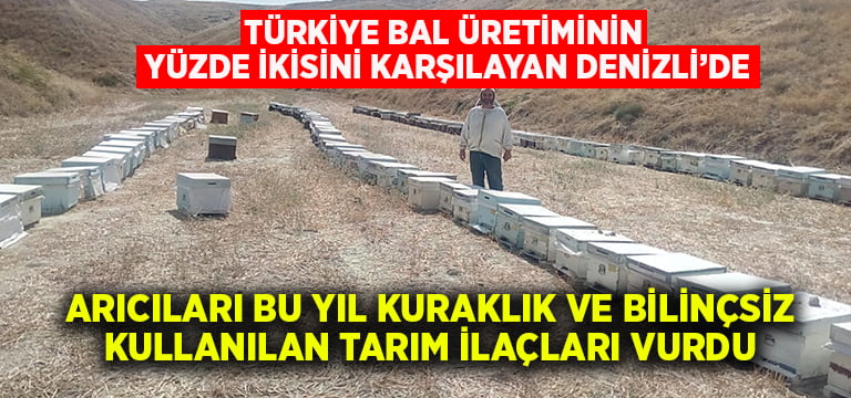 Arıcıları önce kuraklık sonra bilinçsiz kullanılan tarım ilaçları vurdu