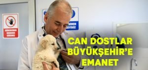 Can dostlar Büyükşehir’e emanet