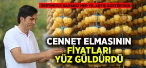 Cennet elmasının fiyatı yüz güldürüyor