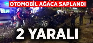 Otomobil ağaca saplandı: 2 yaralı