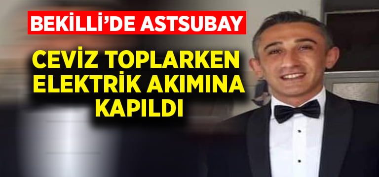 Ceviz toplarken elektrik akımına kapılan astsubay yaralandı