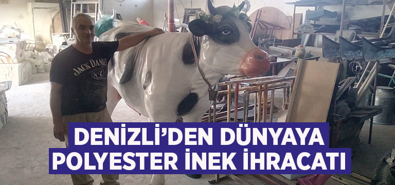 Denizli’den dünyaya polyester inek ihracatı