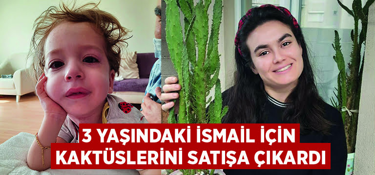 3 yaşındaki İsmail Çağan için kaktüslerini satışa çıkardı