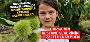 Bursa’nın kestane şekerinin lezzeti Denizli’den