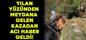 Yılan nedeniyle çıkan kazada acı haber geldi!