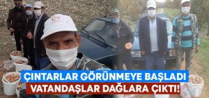 Çıntarlar görünmeye başladı.. Vatandaşlar dağlara koştu!