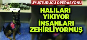 Halı yıkamacıdan zehir çıktı