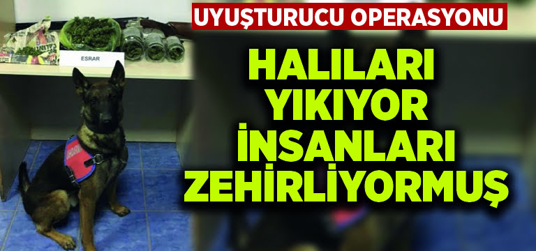 Halı yıkamacıdan zehir çıktı