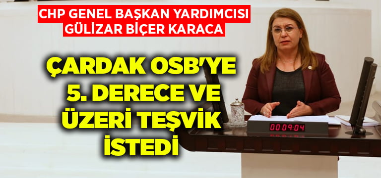 CHP Genel Başkan Yardımcısı Karaca, Çardak OSB’ye 5. derece ve üzeri teşvik istedi