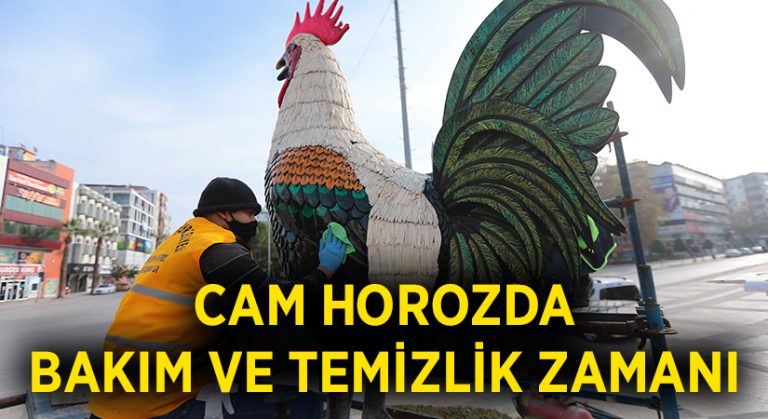 Cam horozda bakım ve temizlik zamanı