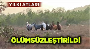 Yılkı atlarını ölümsüzleştir