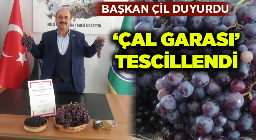 ‘Çal Garası’ üzümü coğrafi işaret ile tescillendi