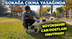 Büyükşehir can dostları unutmadı