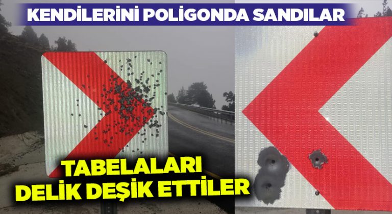 Kendilerini poligonda sandılar, tabelaları delik deşik ettiler