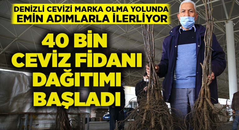 Denizli cevizi marka olma yolunda emin adımlarla ilerliyor