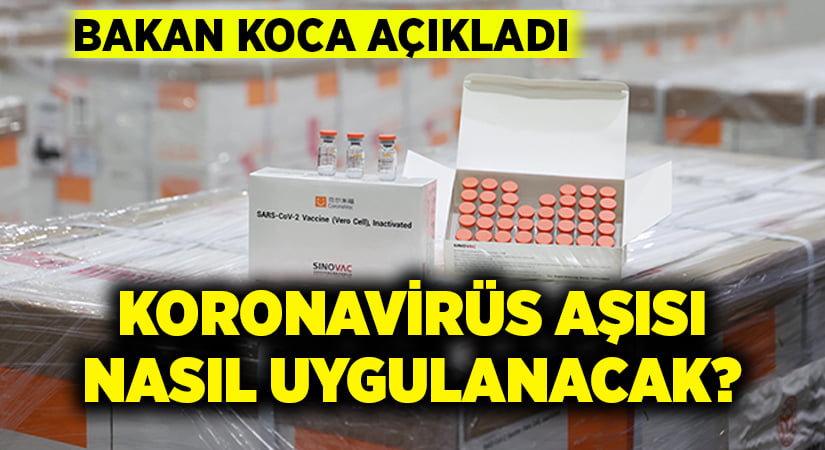 Bakan Koca açıkladı.. Koronavirüs aşısı nasıl uygulanacak?