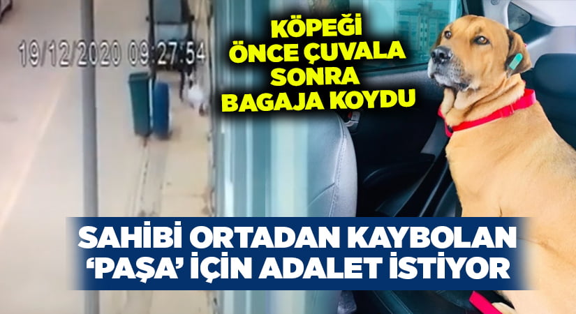 Komşusunun köpeğini önce çuvala sonra bagaja koydu.. ‘Paşa’ ortadan kayboldu