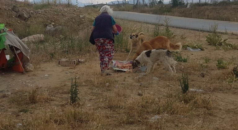 Hayvan Dostları Derneği ‘Can Dostlar’ çağrıda bulundu