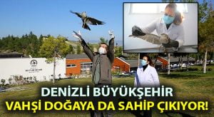 Büyükşehir vahşi doğaya da sahip çıkıyor