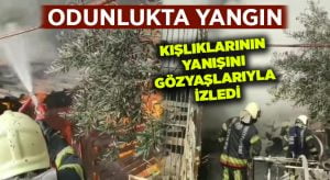 Kışlıklarının yanışını gözyaşlarıyla izledi